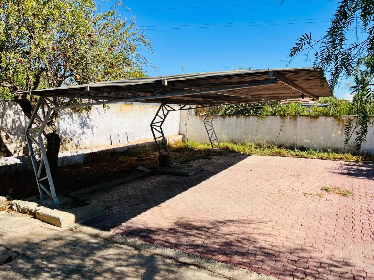 Estudio Adosado Acogedor Con Jardin, Barbacoa Y Parking Privado อาลิกันเต ภายนอก รูปภาพ